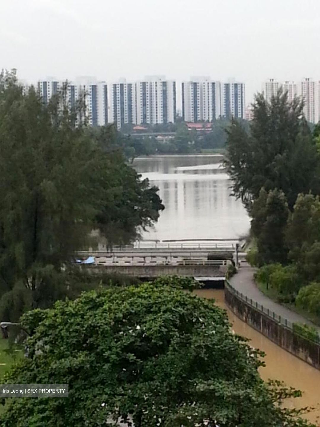 The Lakefront Residences (D22), Condominium #599897291